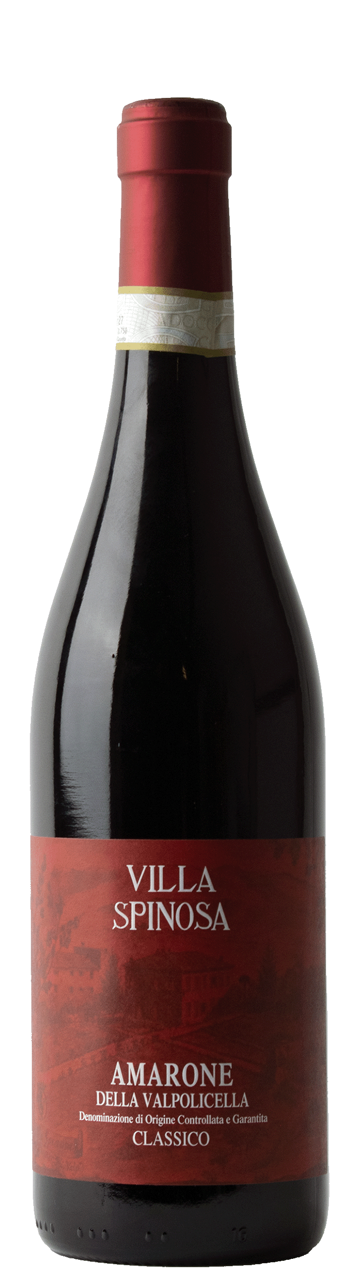 Amarone dell Valpolicella 2021 classico