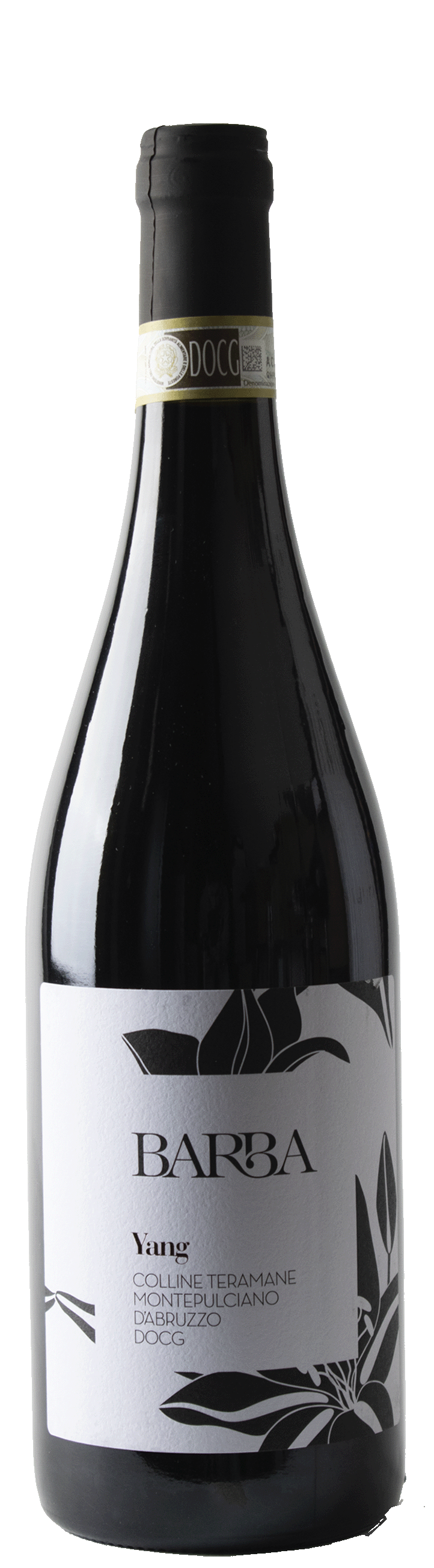 Montepulciano Colline Teramane Yang 2023