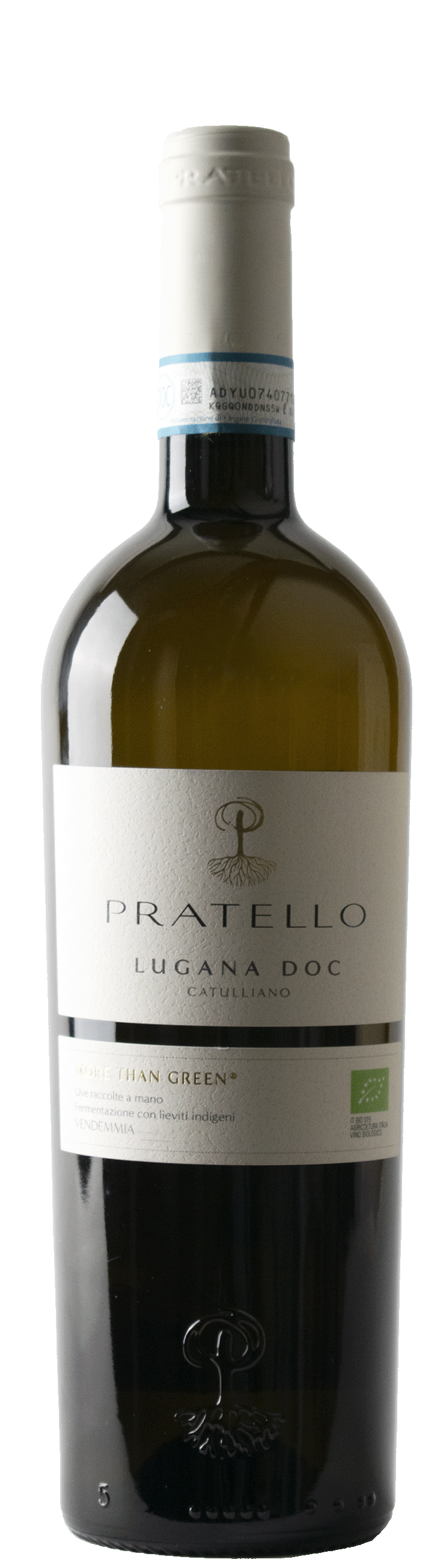 Lugana 2025 Catulliano