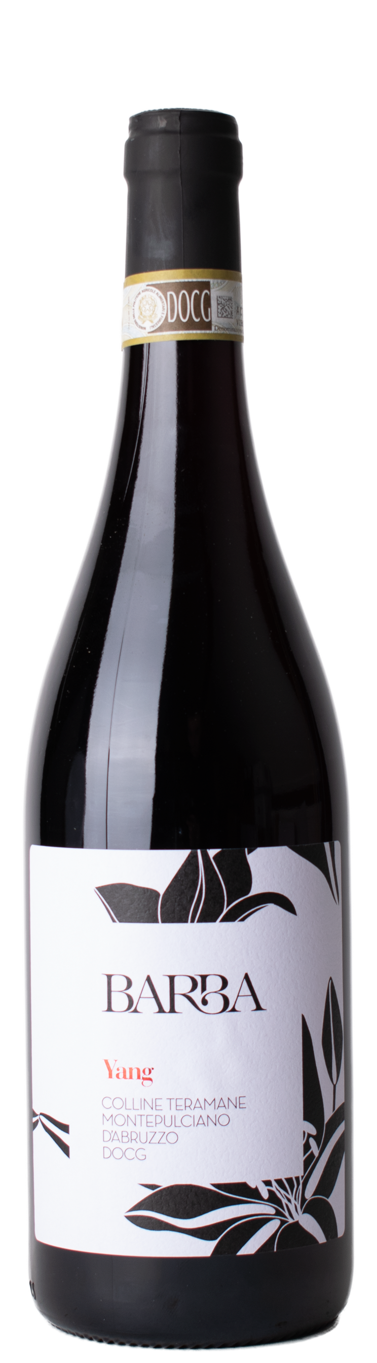 Montepulciano Colline Teramane Yang 2022