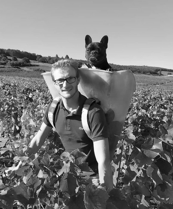 Domaine Pernot