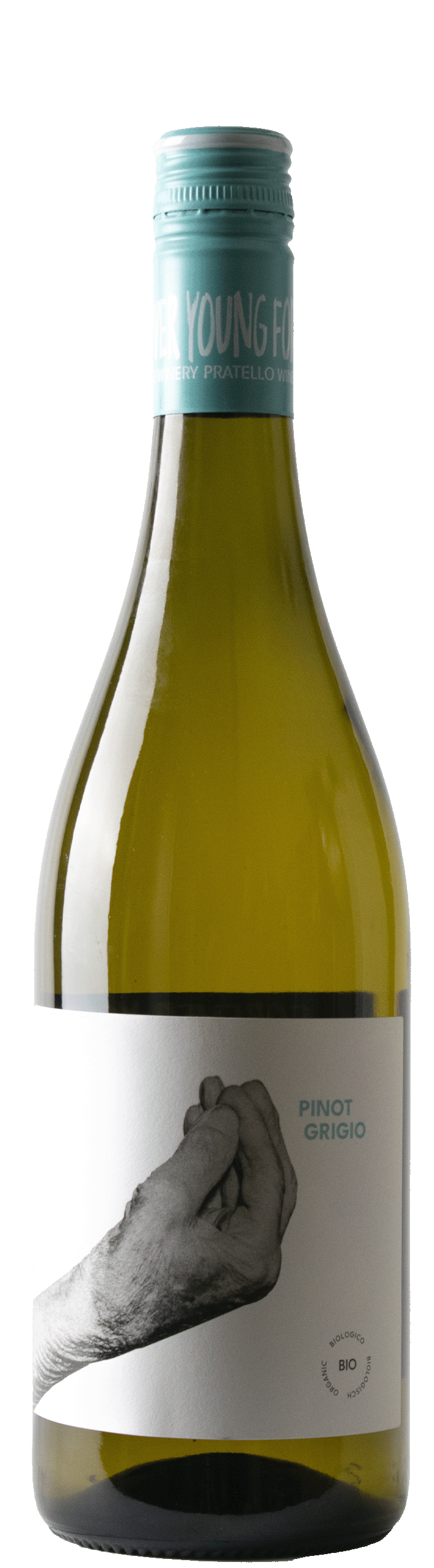 Garda Pinot Grigio 2025 Forever Young