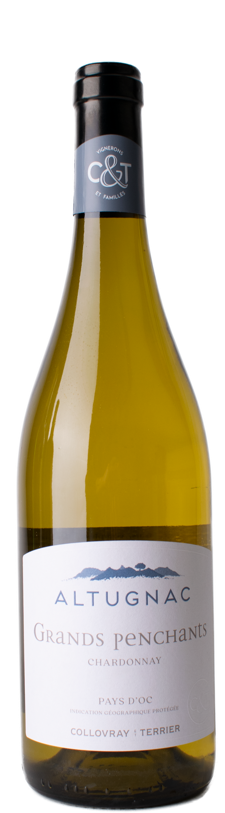 IGP D'Oc 2023 Chardonnay Les Grands Penchants