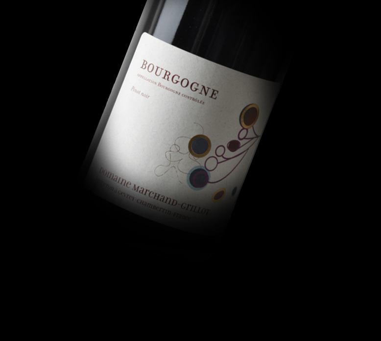 Bourgogne Pinot Noir 2024 Domaine Marchand Grillot