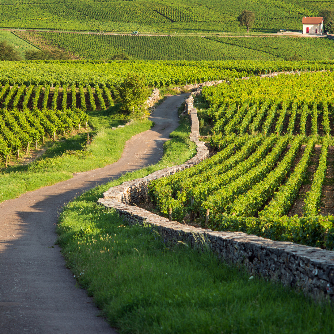 Climats de Bourgogne