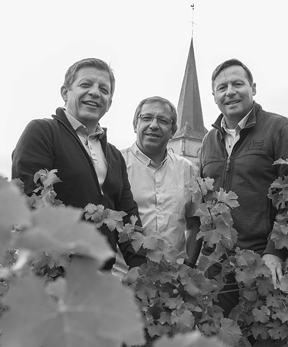 Domaine Henri Bourgeois